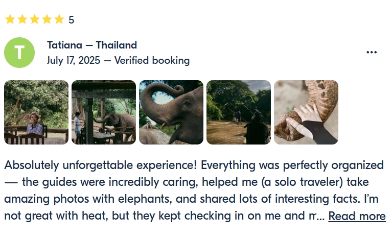 pon elephpant chiangmai thailand reviews